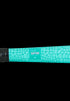 GRYPHON Gator 2025 Teal